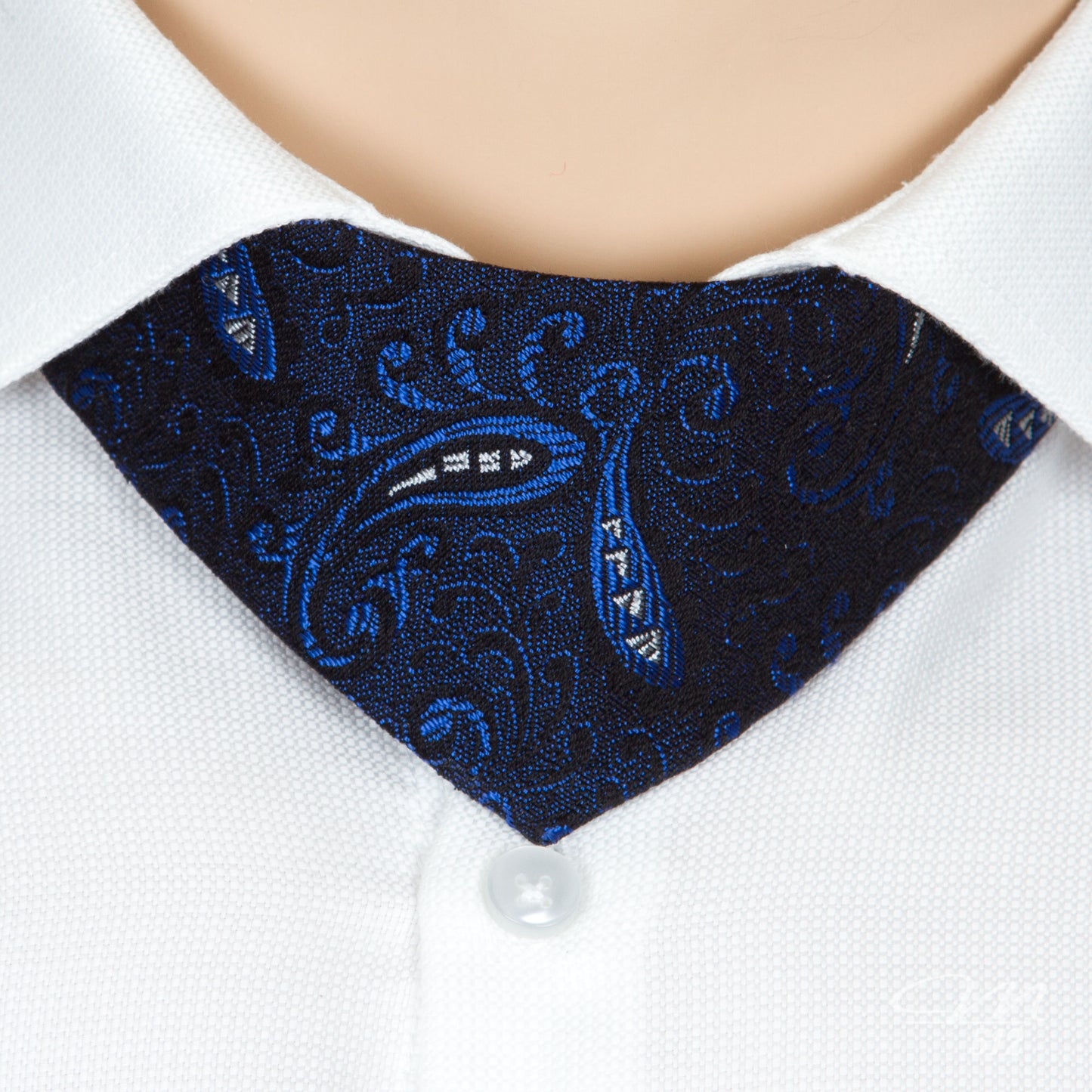 No-Tie Royal Paisley